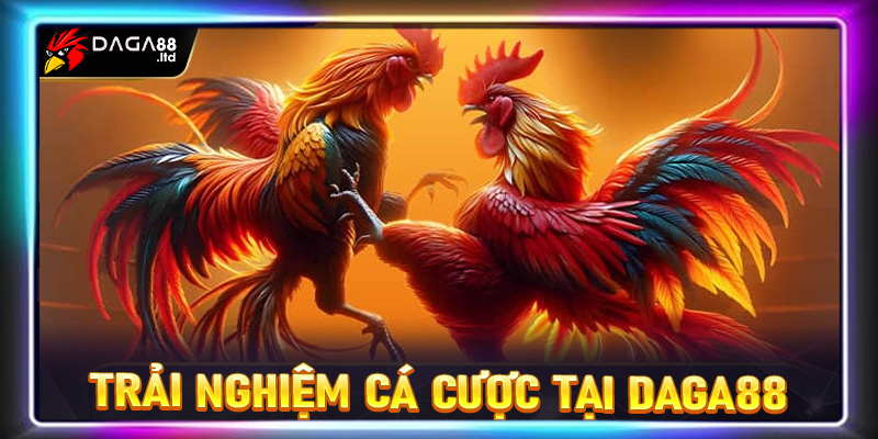 Trải nghiệm cá cược tại Daga88